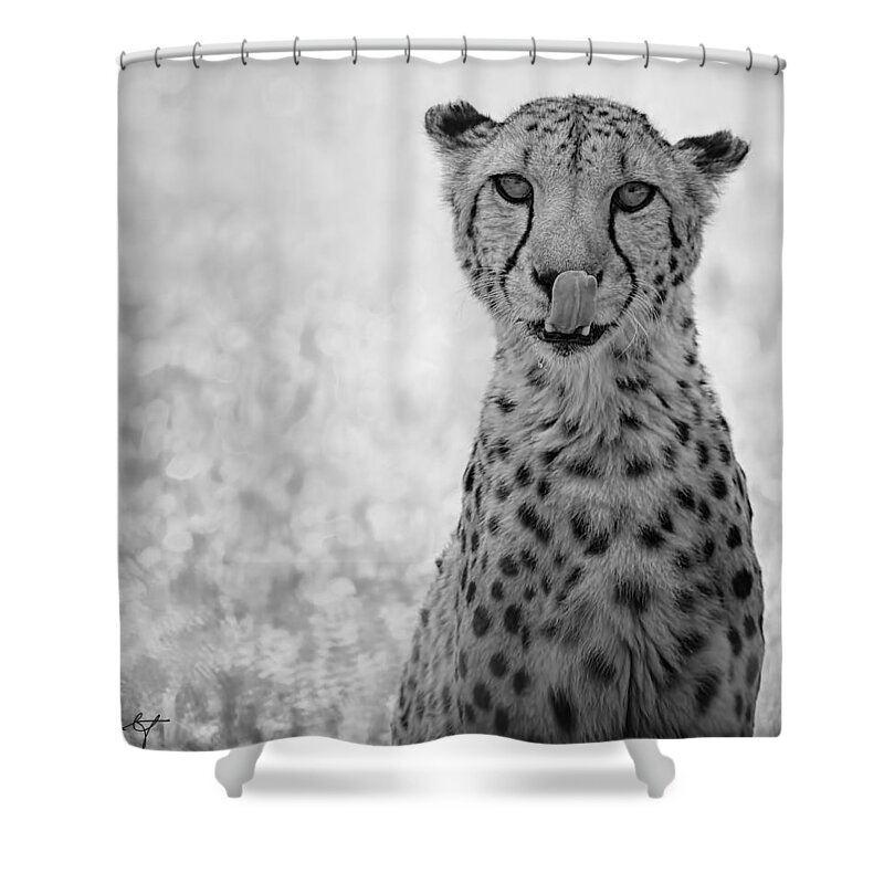 Acinonyx Jubatus Shower Curtain featuring the digital art You Look Tasty #2 by Phill Doherty