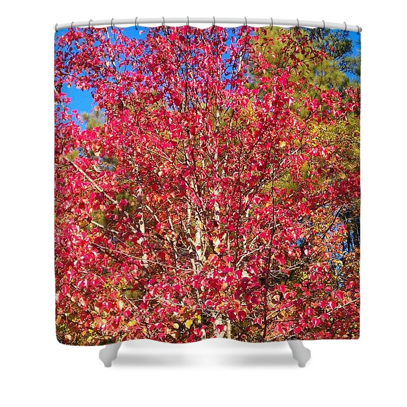 Fall Shower Curtain featuring the photograph Autumn Color #10 by Kenny Glover