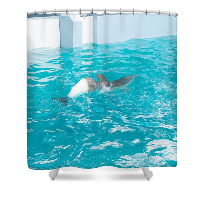 Clearwater Shower Curtain featuring the digital art Winter #10 by Carol Ailles