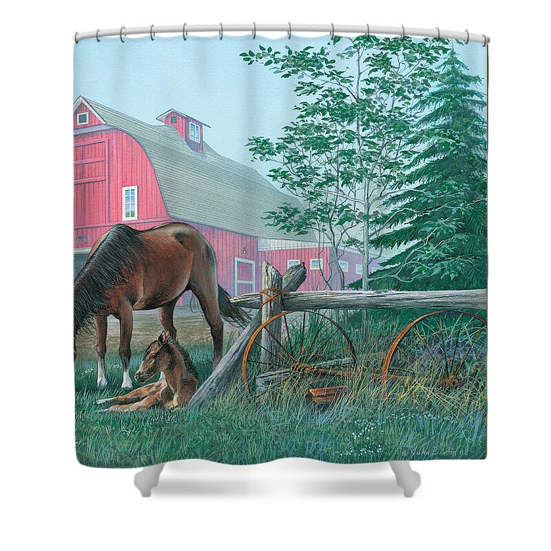 Mp Shower Curtain featuring the photograph Tui de Roy by Bolivian Altiplano
