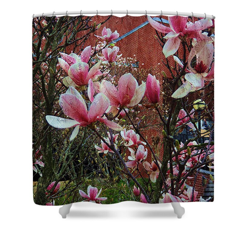 Interior Shower Curtain featuring the painting Magnolia Flowers #12 by Xueyin Chen