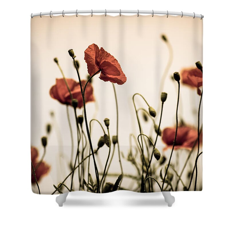 Poppy Shower Curtain featuring the photograph Poppy Meadow #12 by Nailia Schwarz