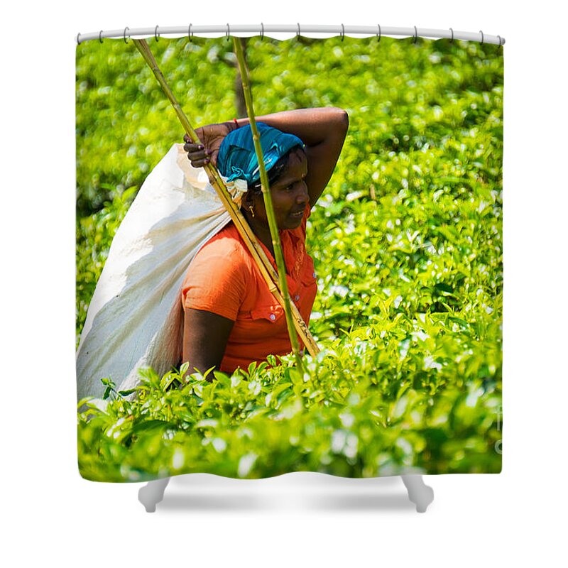 Asia Shower Curtain featuring the photograph Sri Lanka #12 by Milena Boeva