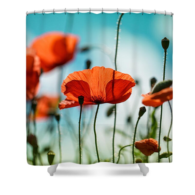 Poppy Shower Curtain featuring the photograph Poppy Meadow by Nailia Schwarz