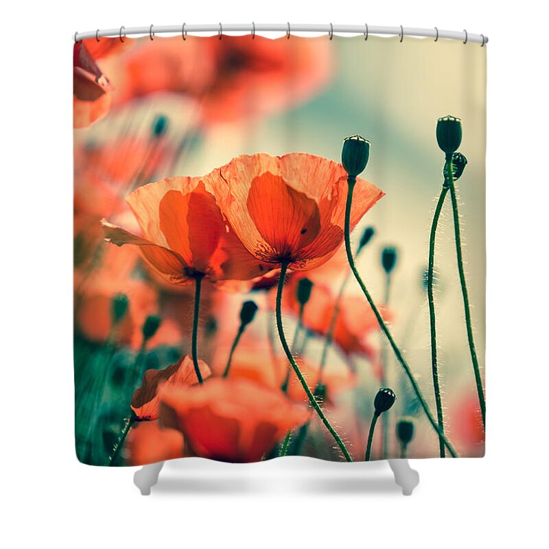 Poppy Shower Curtain featuring the photograph Poppy Meadow by Nailia Schwarz
