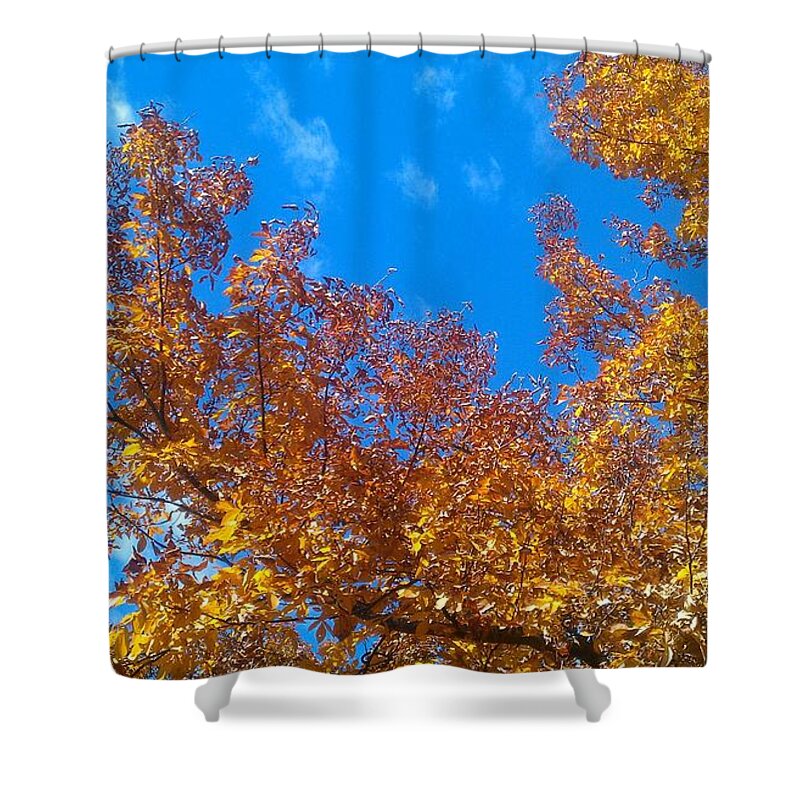 Fall Shower Curtain featuring the photograph Autumn Color #6 by Kenny Glover