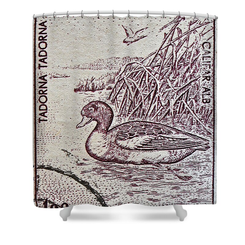 1960 Shower Curtain featuring the photograph 1960 Romanian Common Shelduck Stamp by Bill Owen