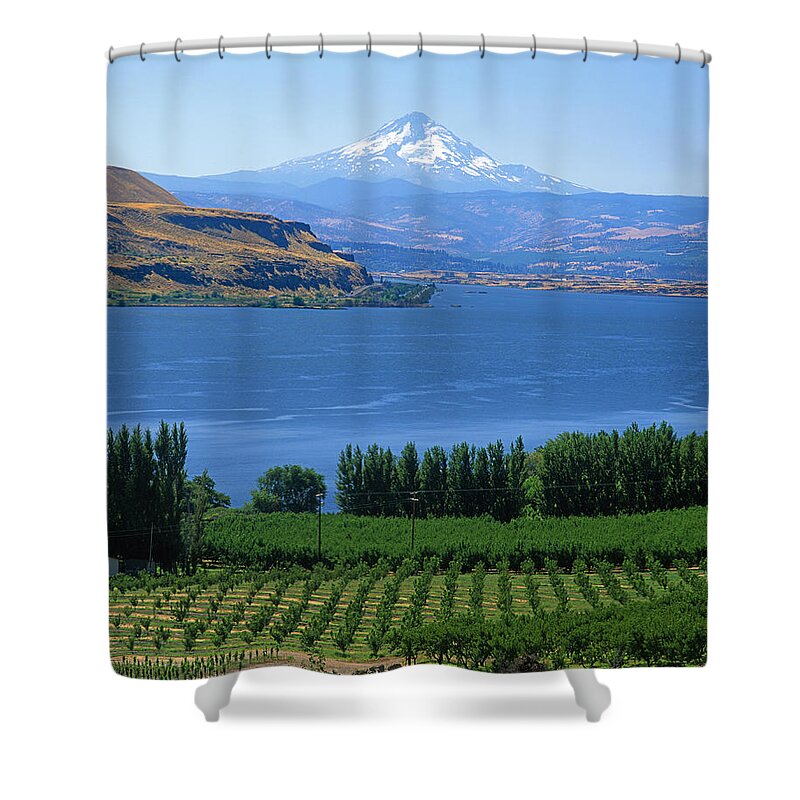 1a4525 Shower Curtain featuring the photograph 1A4525 Mt Hood Columbia River and Vineyards by Ed Cooper Photography