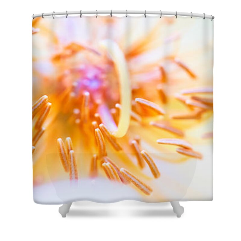 Art Shower Curtain featuring the photograph Abstract flower #2 by U Schade