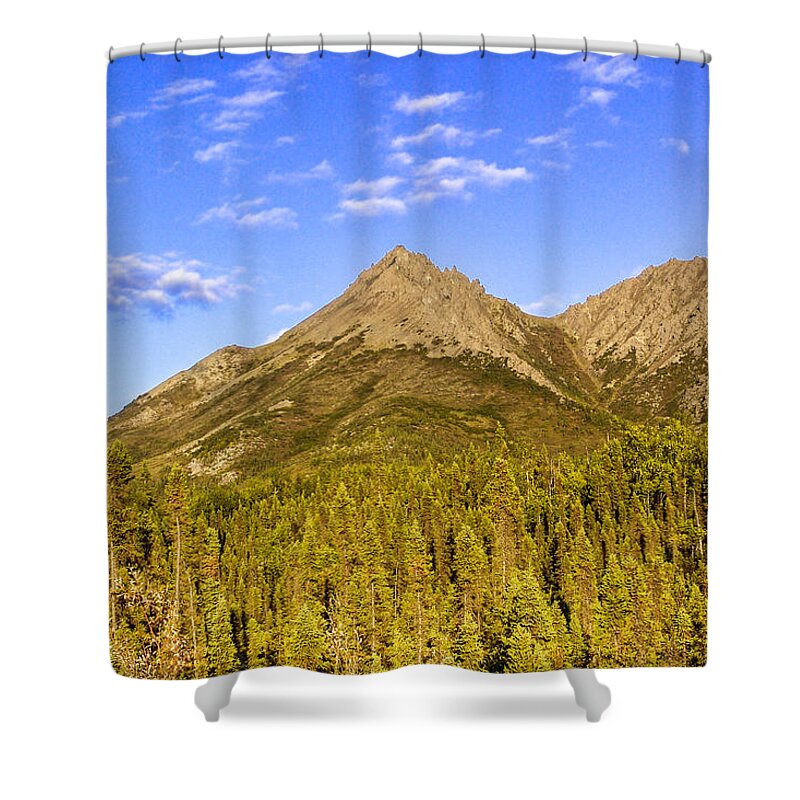 Trees Shower Curtain featuring the photograph Alaska Mountains #2 by Chad Dutson