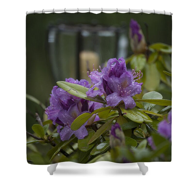 Candle Shower Curtain featuring the photograph Bloom #2 by Crystal Harman