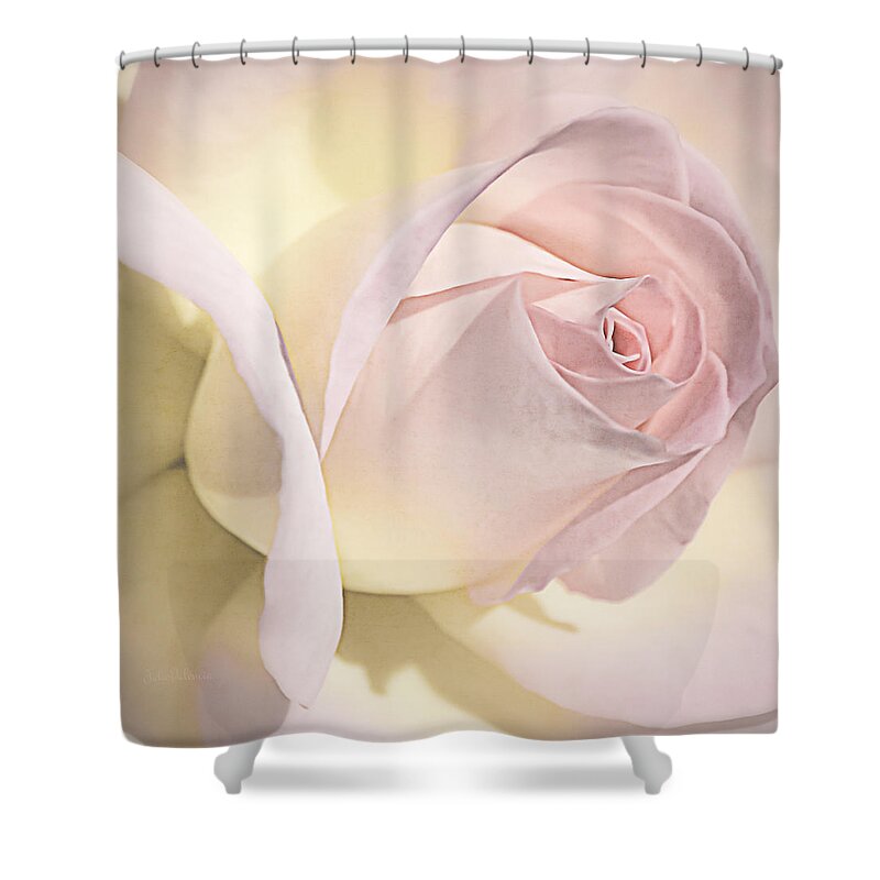 Pastel Shower Curtain featuring the photograph Blushing Petals #2 by Julie Palencia