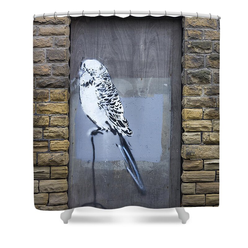 Grunge Shower Curtain featuring the photograph Budgie graffiti #2 by Chris Smith