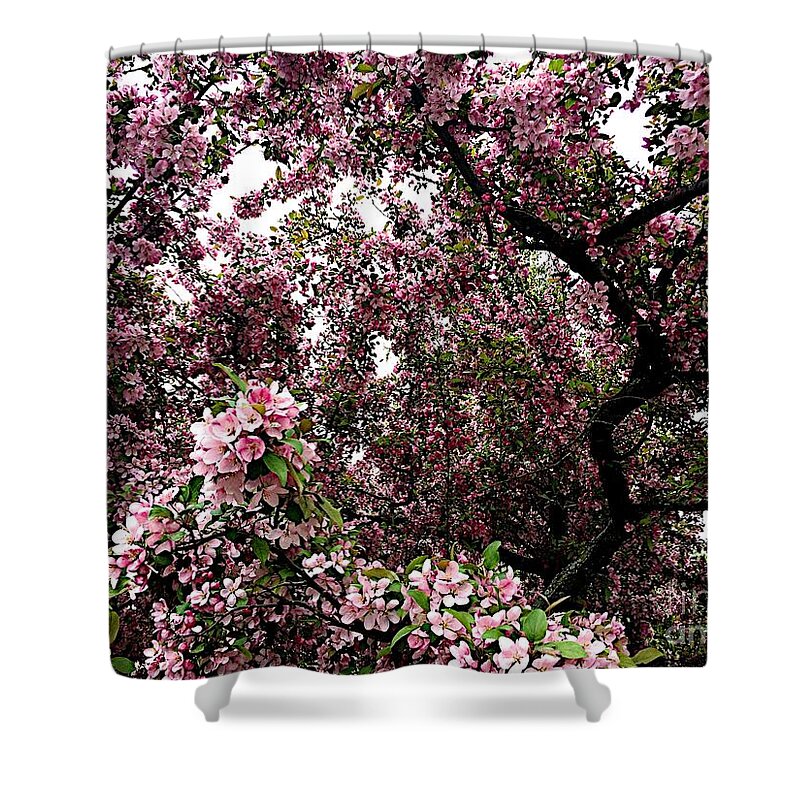Blooms Shower Curtain featuring the photograph Deep #2 by Joseph Yarbrough