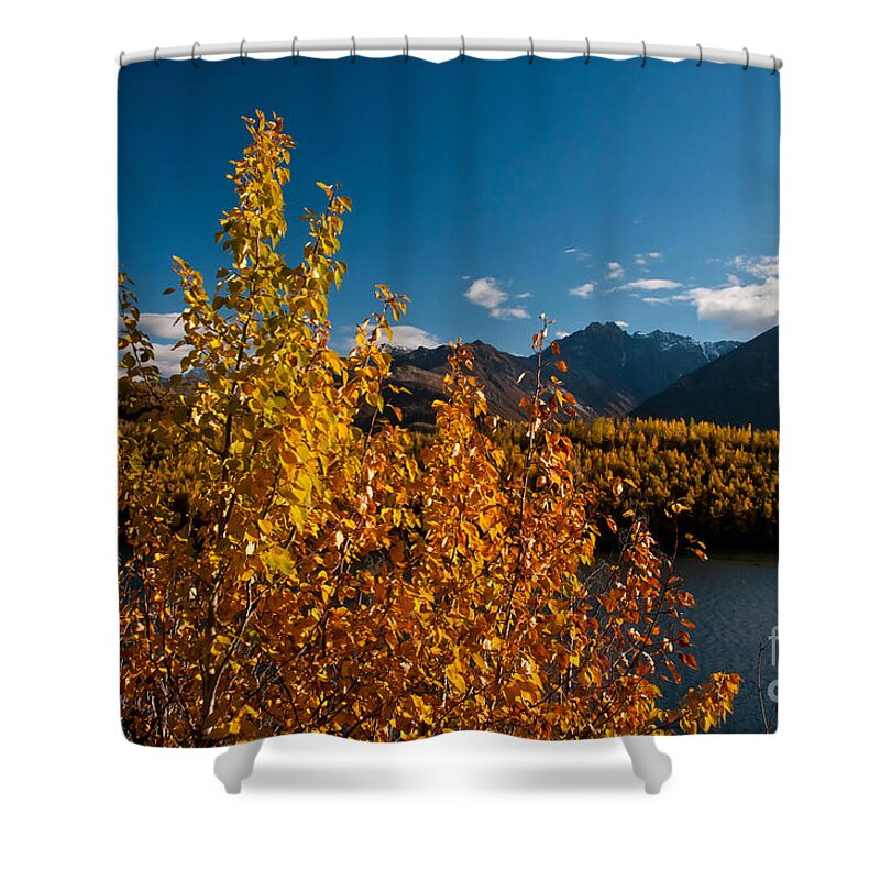 Nature Shower Curtain featuring the photograph Fall Colors, Alaska #2 by Mark Newman