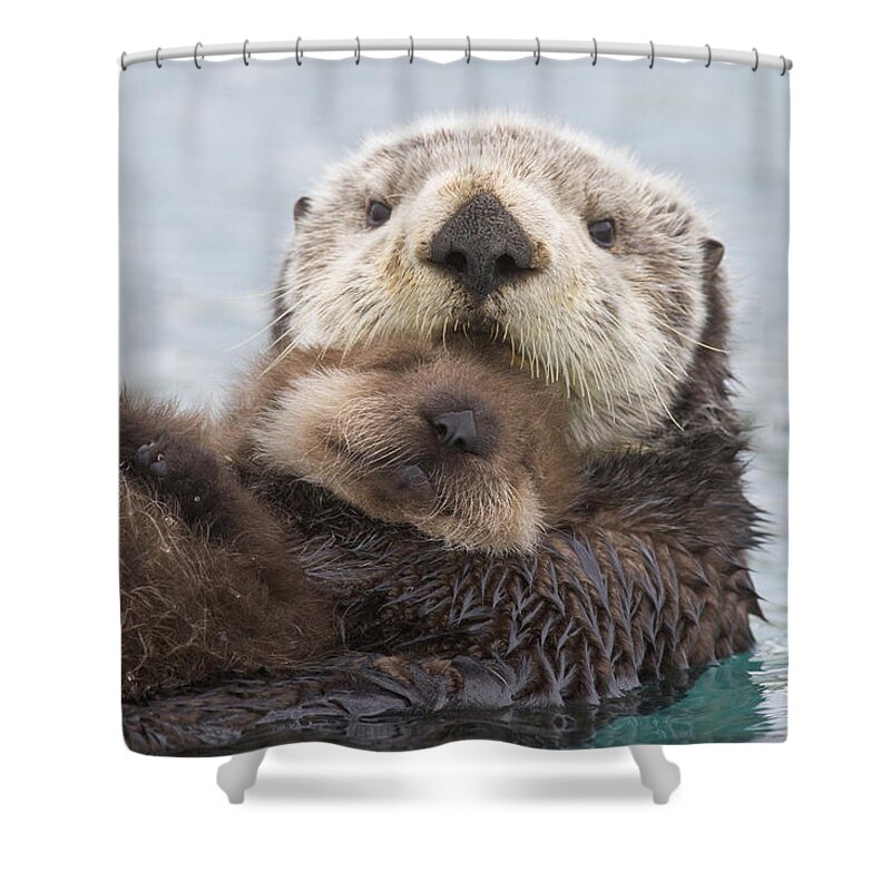 Day Shower Curtain featuring the photograph Female Sea Otter Holding Newborn Pup by Milo Burcham