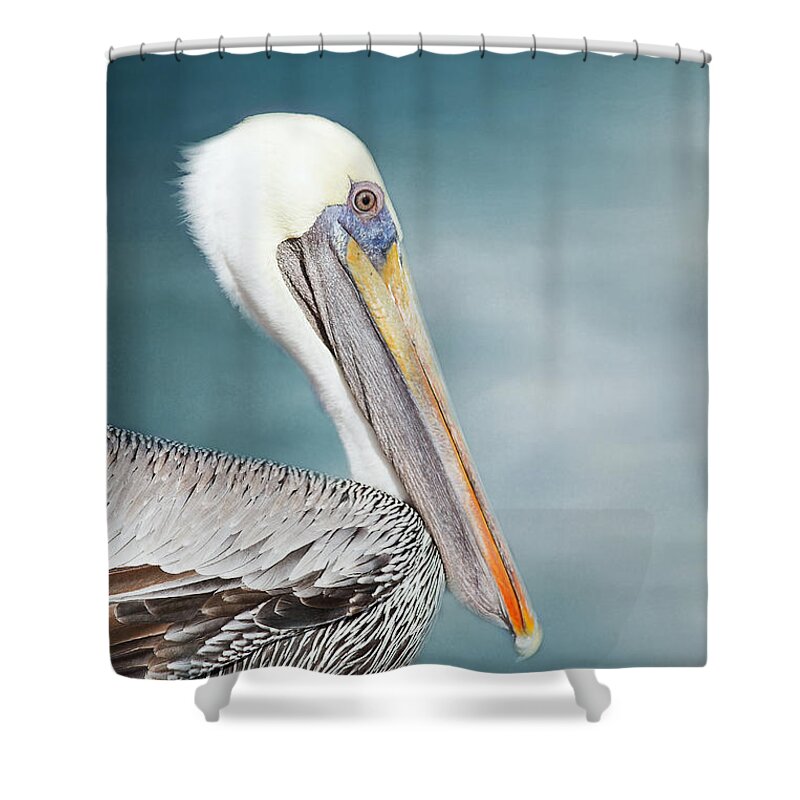 Pelican Shower Curtain featuring the photograph Florida Brown Pelican #3 by Kim Hojnacki