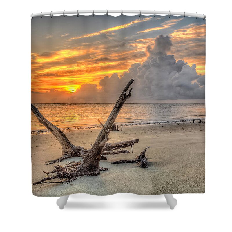 Folly Beach Shower Curtain featuring the photograph Folly Beach Driftwood #2 by Keith Allen
