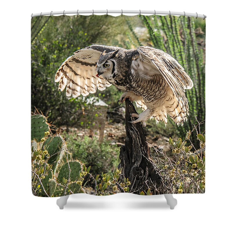 Great Horned Owl Shower Curtain featuring the photograph Great Horned Owl #2 by Tam Ryan