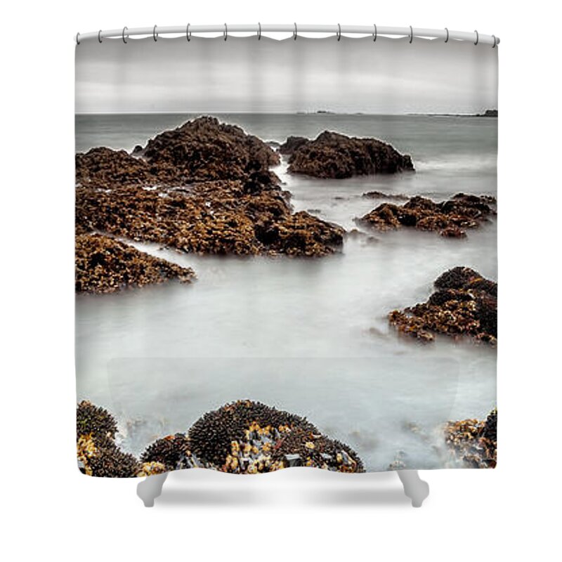 Nature Shower Curtain featuring the photograph Grey Morning #2 by Steven Reed