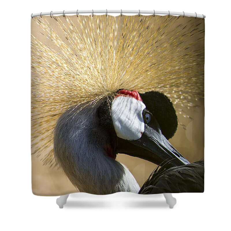 Grou Shower Curtain featuring the photograph Grou #2 by Paulo Goncalves