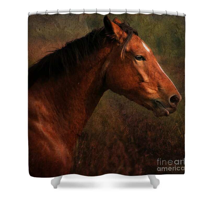 Horse Shower Curtain featuring the photograph Horse Portrait #2 by Ang El