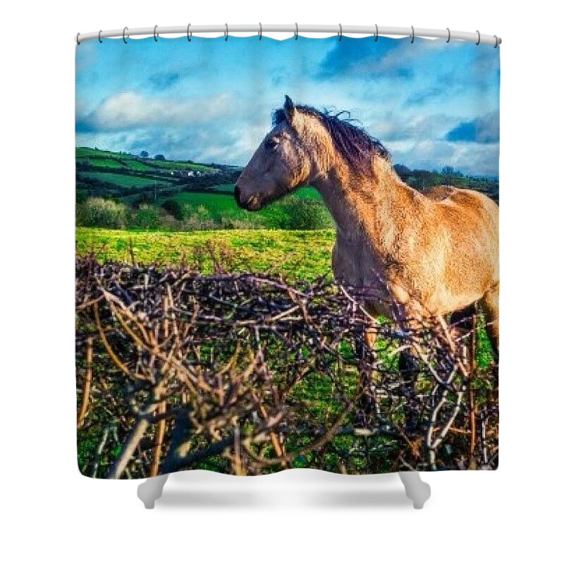 Country Shower Curtain featuring the photograph Ireland #2 by Aleck Cartwright
