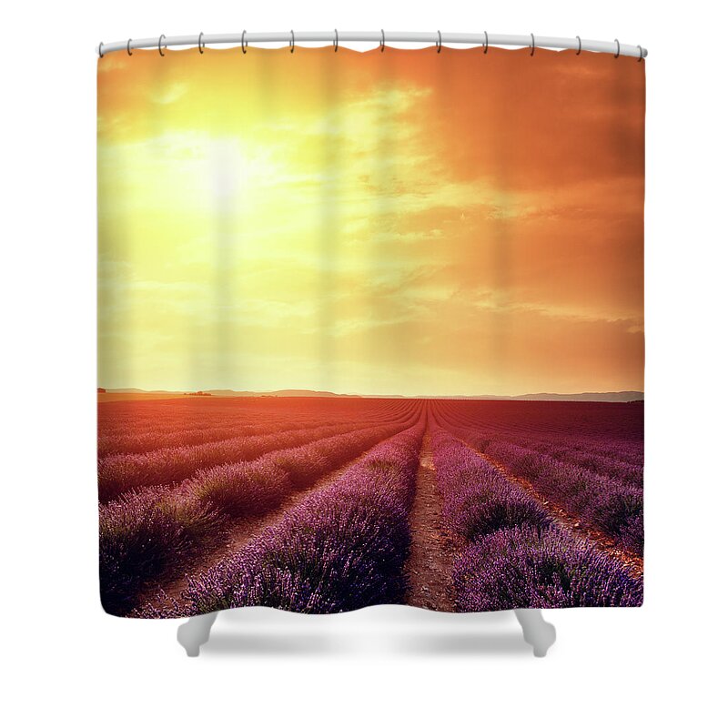 Dawn Shower Curtain featuring the photograph Lavender Field At Sunset #2 by Mammuth