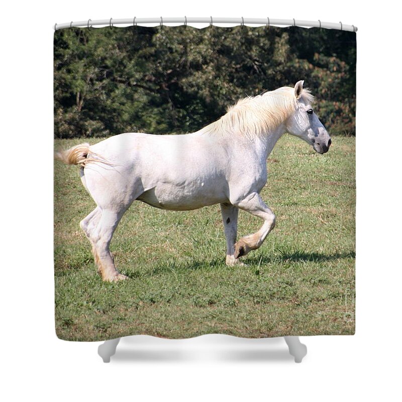 Horse Shower Curtain featuring the photograph Lightning by Wendy Coulson