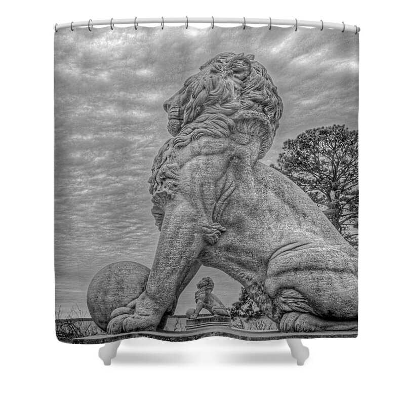 Double Lions Shower Curtain featuring the photograph Lions Bridge East Lake Side #2 by Jerry Gammon