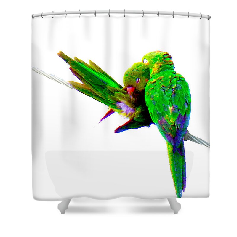 Parrot Shower Curtain featuring the photograph Love Birds #2 by Culture Cruxxx