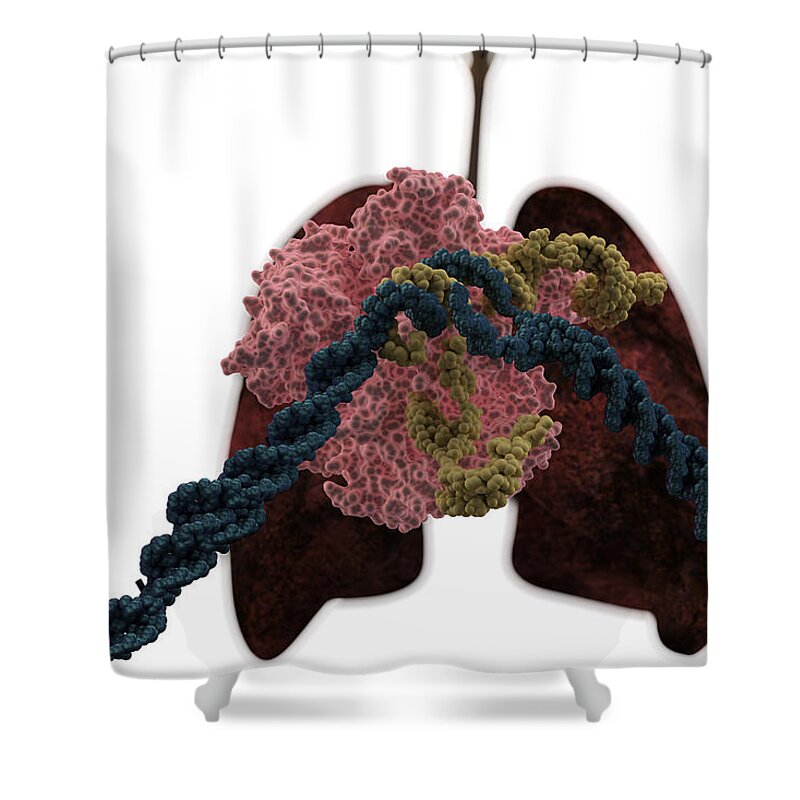 Abnormal Shower Curtain featuring the photograph Lung Cancer Treatment, Crispr-cas9 #2 by Ella Marus Studio