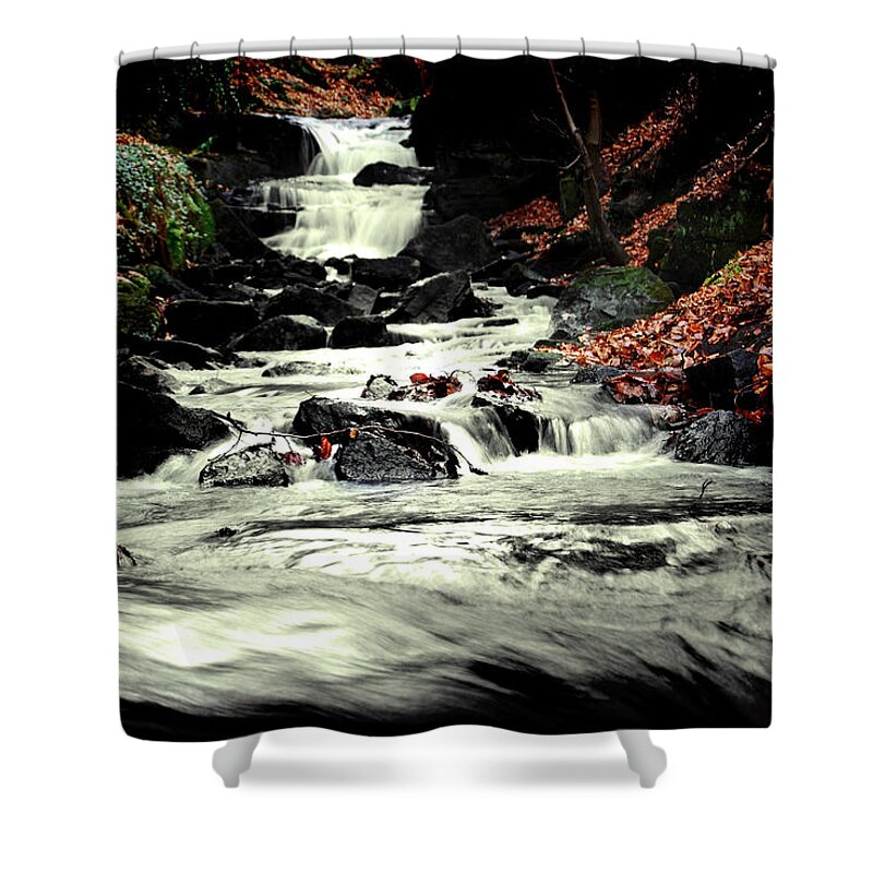  Shower Curtain featuring the photograph Lwv10019 #2 by Lee Winter
