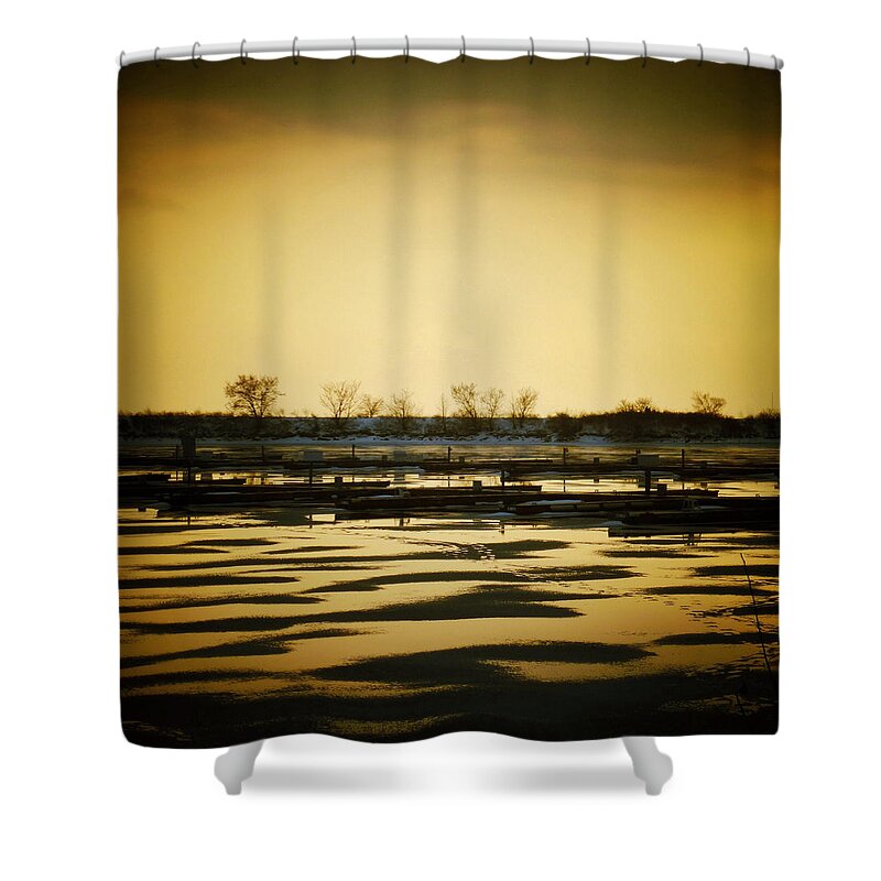 Nature Shower Curtain featuring the photograph Magic Hour #3 by Natasha Marco