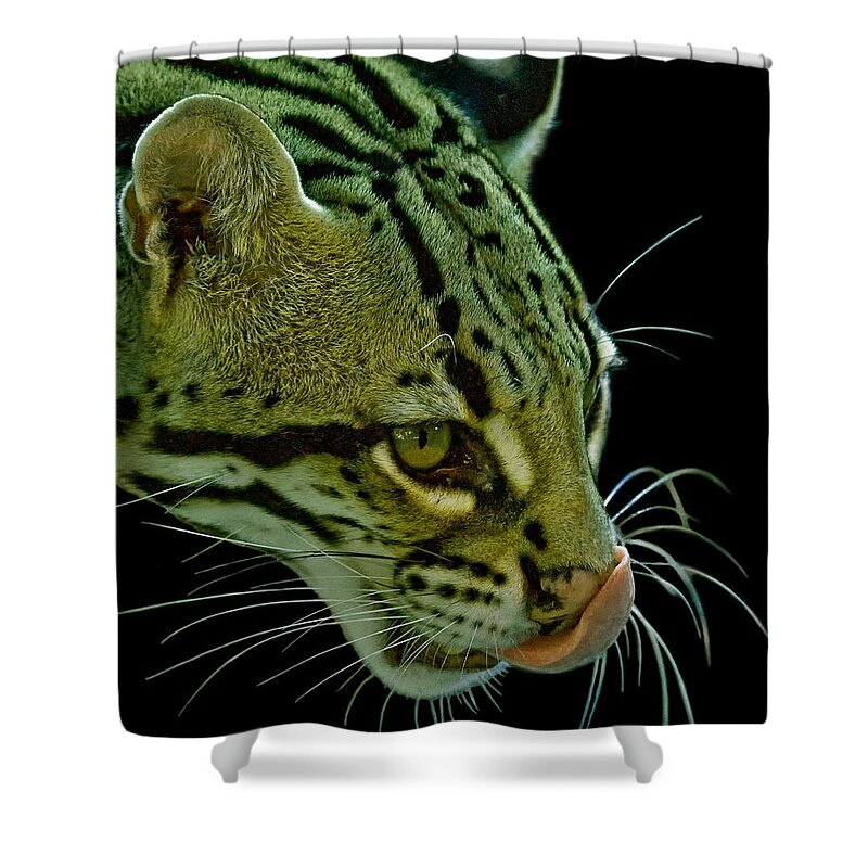 Ocelot Shower Curtain featuring the photograph Ocelot #3 by Larry Linton