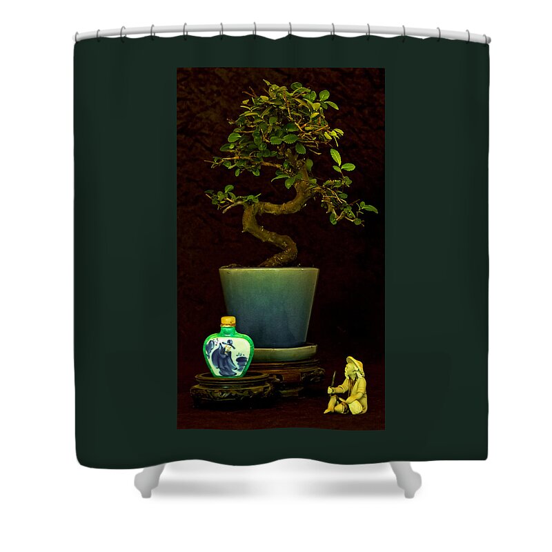 Bonsai Shower Curtain featuring the photograph Old Man and The Tree by Elf EVANS