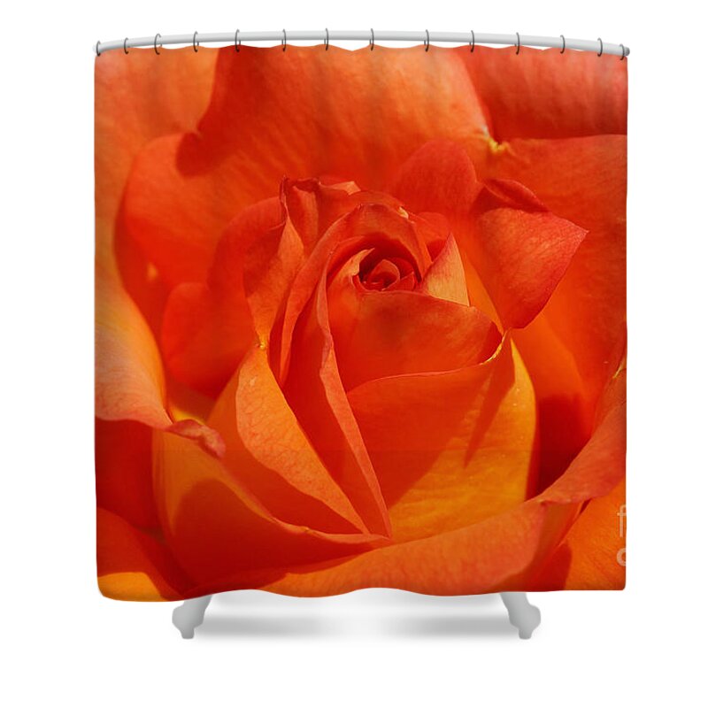 Prott Shower Curtain featuring the photograph Orange Rose 1 by Rudi Prott