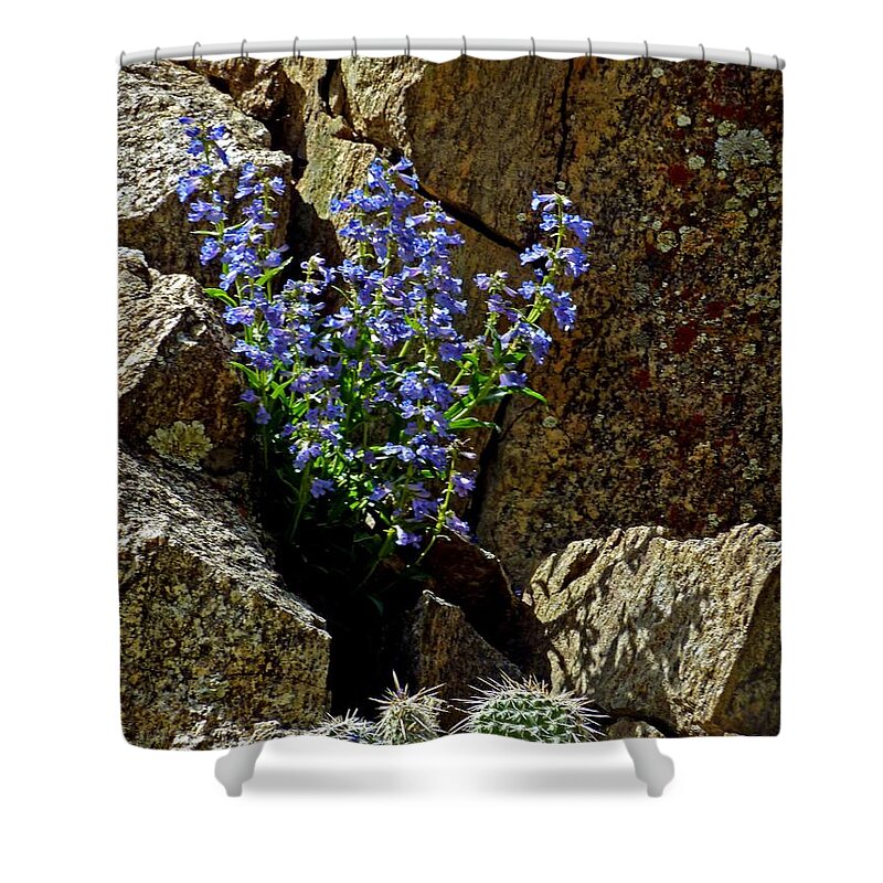 Wildflower Photography Shower Curtain featuring the photograph Persistence #1 by George Tuffy