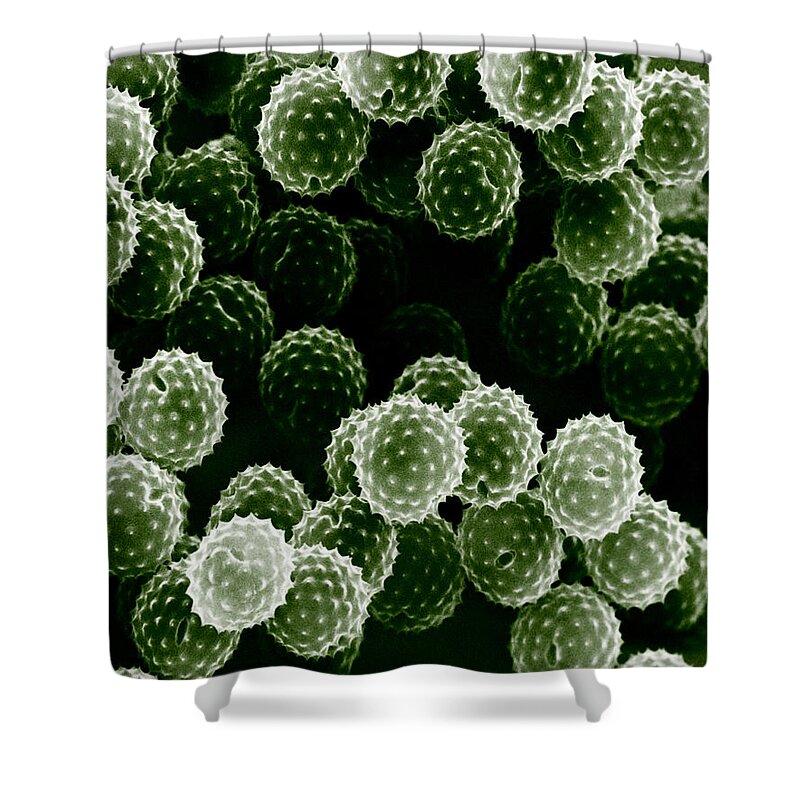 Allergen Shower Curtain featuring the photograph Ragweed Pollen Sem by David M. Phillips / The Population Council