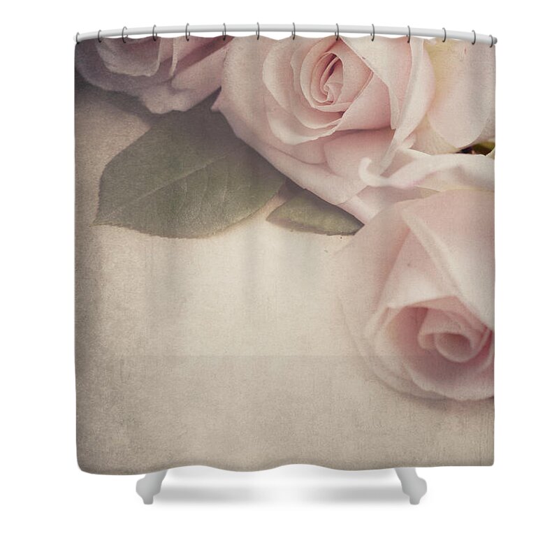 Roses Shower Curtain featuring the photograph Roses on vintage background by Jelena Jovanovic