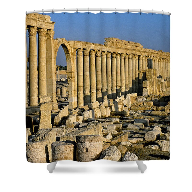 Syria Shower Curtain featuring the photograph Ruins At Palmyra, Syria #2 by Adam Sylvester