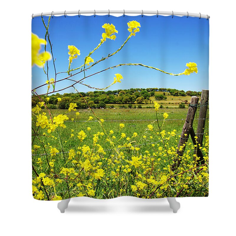 Agriculture Shower Curtain featuring the photograph Rural Landscape #2 by Carlos Caetano