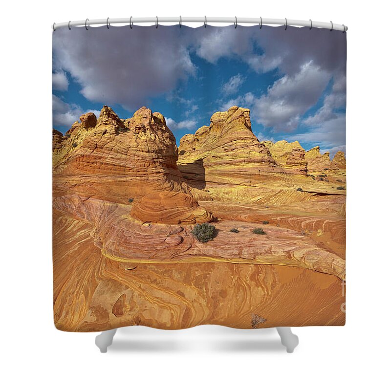00559264 Shower Curtain featuring the photograph Sandstone Vermillion Cliffs N by Yva Momatiuk John Eastcott