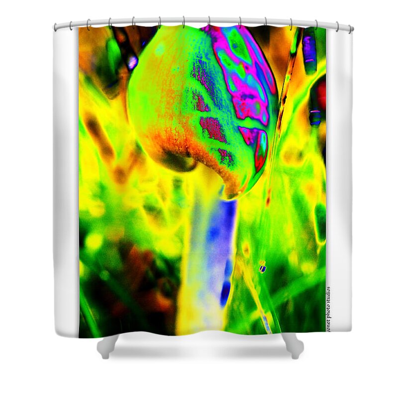 Psychedelic Mushroom Shower Curtain featuring the photograph Shroooms #1 by Onyonet Photo studios