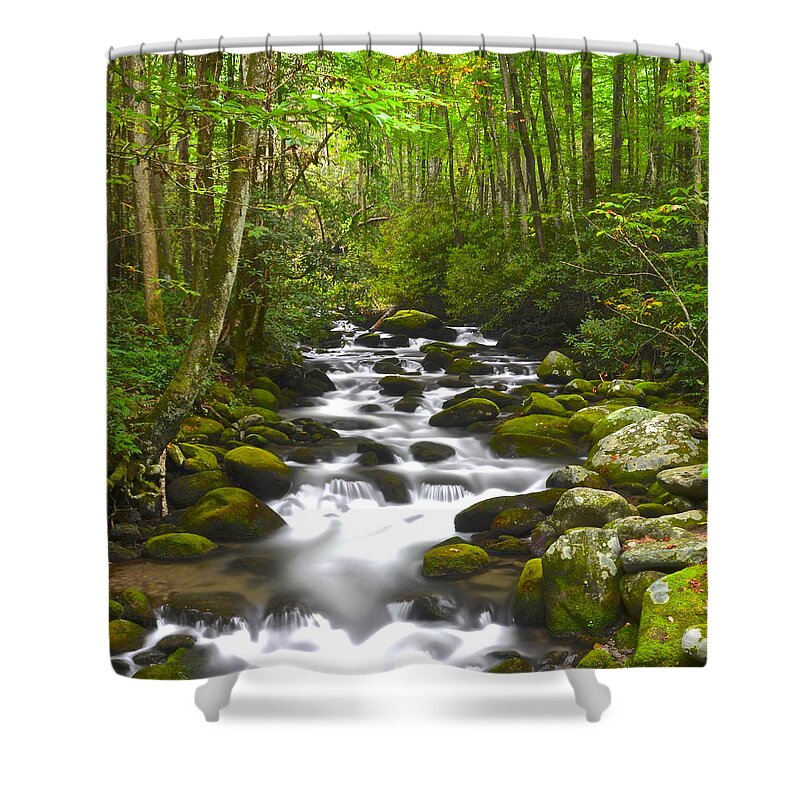 Square Shower Curtain featuring the photograph Smoky Mountain Stream #2 by Frozen in Time Fine Art Photography