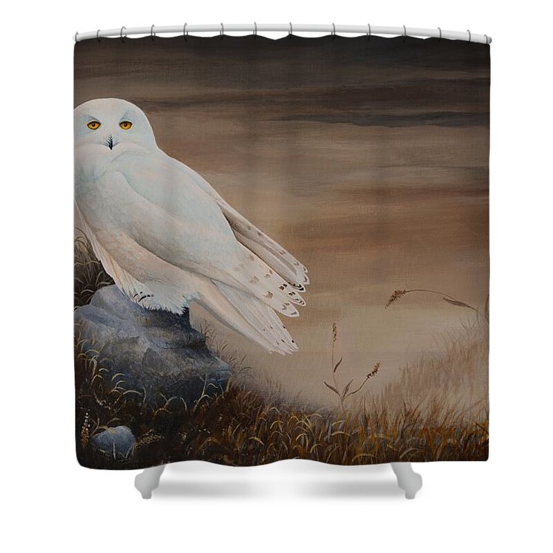Bird Shower Curtain featuring the painting Snowy Owl by Charles Owens