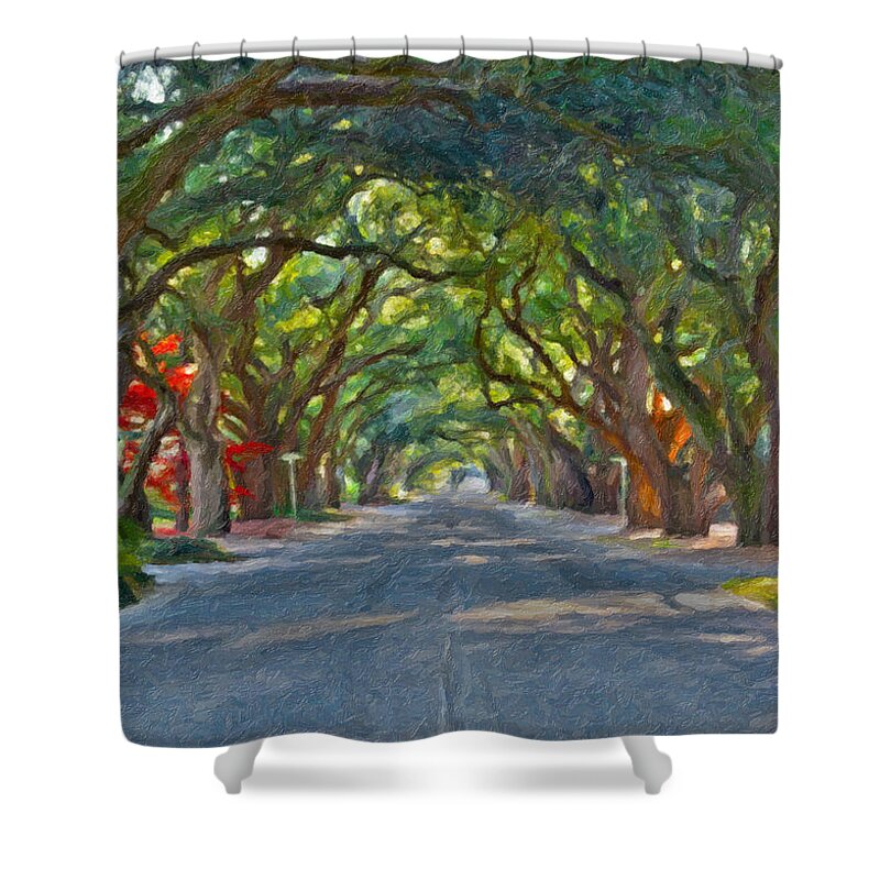South Boundary Shower Curtain featuring the photograph South Boundary by Shirley Radabaugh