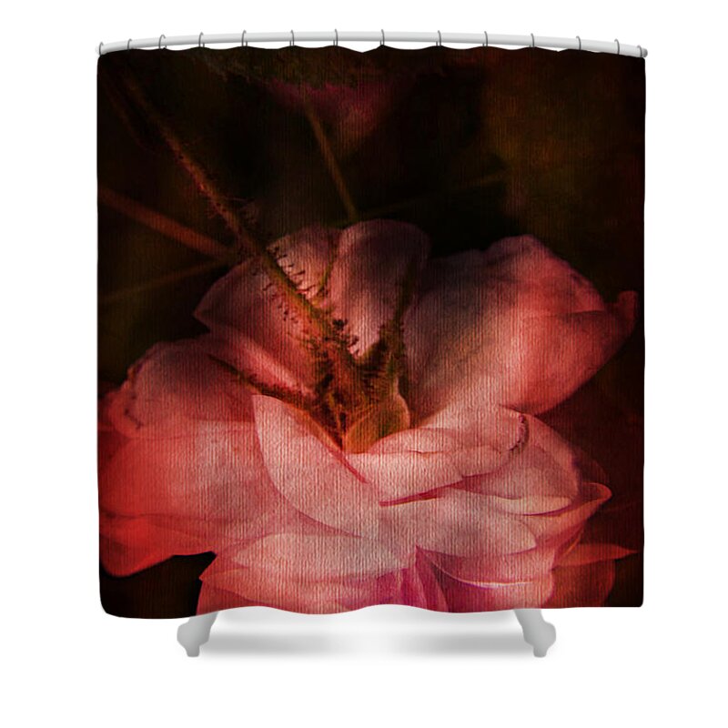 Rose Shower Curtain featuring the photograph Time Of Roses by Theresa Tahara