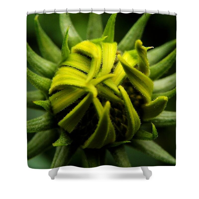 Flower Shower Curtain featuring the photograph Waiting #3 by Zinvolle Art