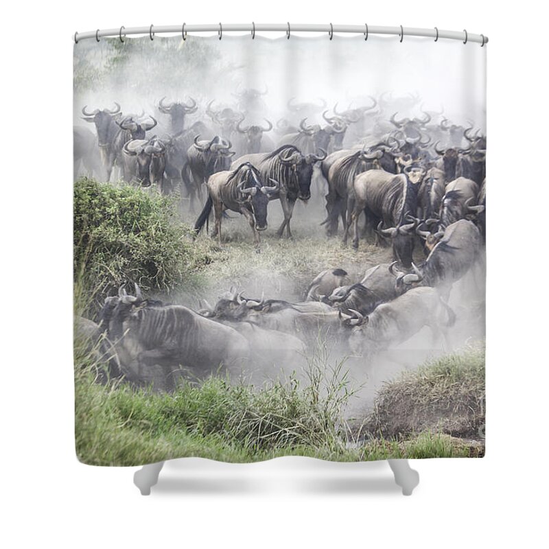 Power Shower Curtain featuring the photograph Wildebeest migration 1 by Gilad Flesch